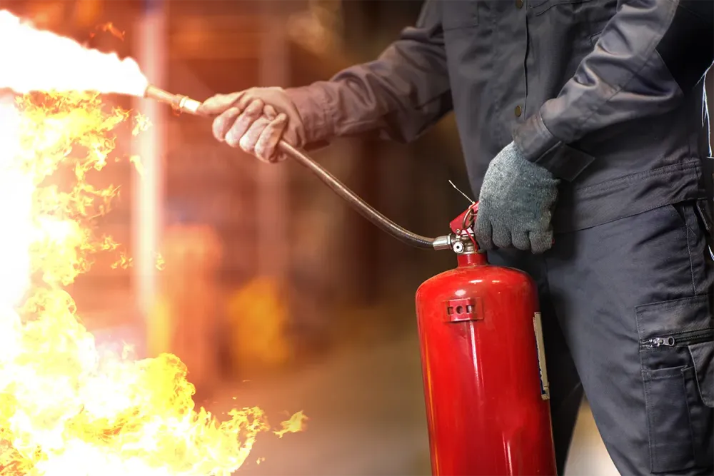 Émulseur à Noiseau